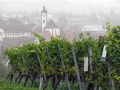 Ausflug2014Jü_08