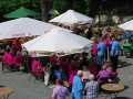 11ProKo2015.jpg