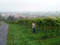 Chorausflug201406