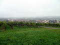 Chorausflug201410